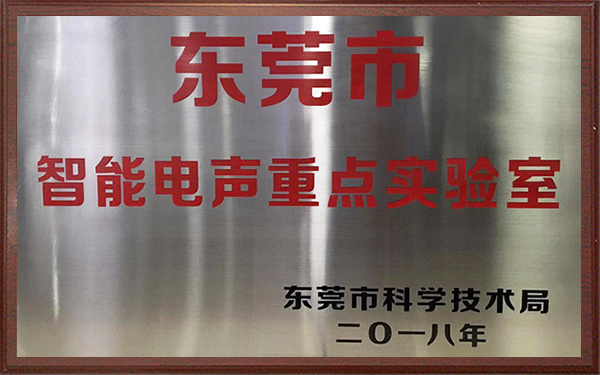 东莞市智能电声沉点尝试室